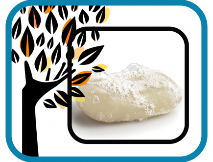 savon saponifié à froid pour la peau et la planète